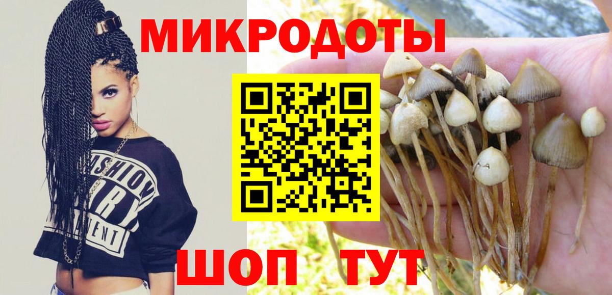 Тобольск  Псилоцибиновые грибы Psilocybe  Вход с VPN  Галлюциногенные грибы Magic Shrooms 